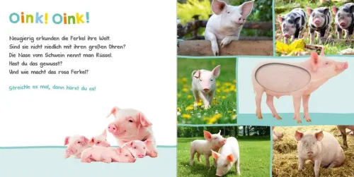 Kinder Ars Edition GmbH 0-3 Jahre-Hör mal rein, wer kann das sein? Bauernhoftiere