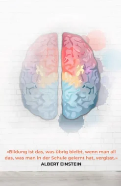 Rowohlt Taschenbuch Sachbücher*Hätte ich das mal früher gewusst!