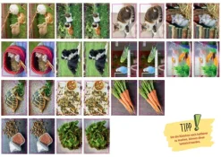 Hund, Katze und Kaninchen. Unsere Haustiere. Kamishibai Bildkarten und Memo-Spiel*Don Bosco Medien GmbH Outlet