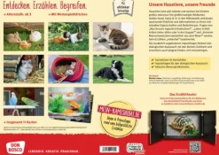 Hund, Katze und Kaninchen. Unsere Haustiere. Kamishibai Bildkarten und Memo-Spiel*Don Bosco Medien GmbH Outlet