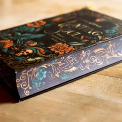 Hunting Souls (Romantasy-Dilogie, Bd. 1)*Coppenrath Discount