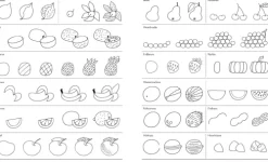 Kinder Bassermann, Edition 3-6 Jahre-Ich kann 1000 Dinge zeichnen. Kritzeln wie ein Profi!