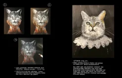 DuMont Buchverlag GmbH Artbooks & Handbücher-Ich kann (keine) Katzen zeichnen