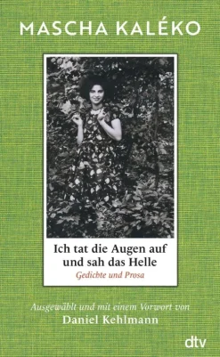 dtv Verlagsgesellschaft Tagebücher-Ich tat die Augen auf und sah das Helle