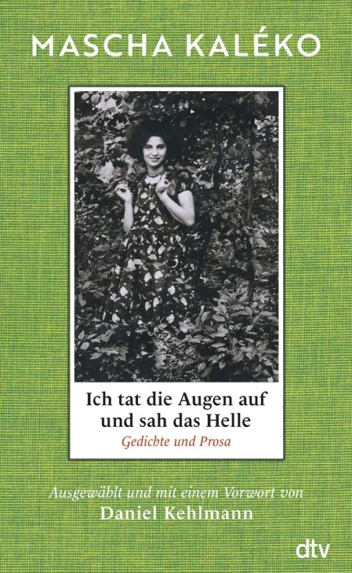 dtv Verlagsgesellschaft Tagebücher-Ich tat die Augen auf und sah das Helle