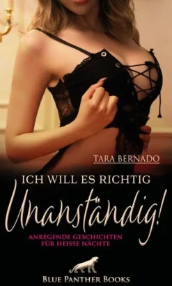 Blue Panther Books Erotische Romane*Ich will es richtig unanständig! 10 anregende geile Geschichten für heiße Nächte