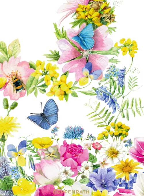 Coppenrath Glück & Wünsche*Ich wünsch dir Gesundheit, Glück und Frohsinn