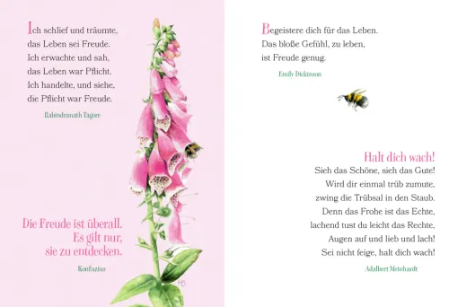 Coppenrath Glück & Wünsche*Ich wünsch dir Gesundheit, Glück und Frohsinn