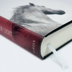 Carl Hanser Verlag Literatur|Biografische Romane-Im ersten Licht