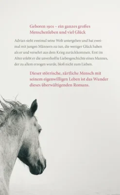 Carl Hanser Verlag Literatur|Biografische Romane-Im ersten Licht