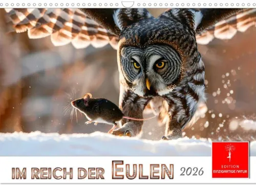 Im Reich der Eulen (Wandkalender 2026 DIN A3 quer), Monatskalender*Calvendo Discount