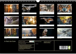 Im Reich der Eulen (Wandkalender 2026 DIN A3 quer), Monatskalender*Calvendo Discount