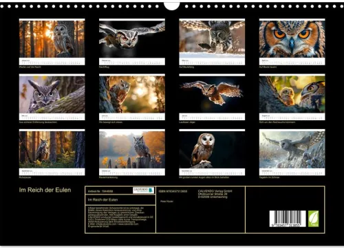 Im Reich der Eulen (Wandkalender 2026 DIN A3 quer), Monatskalender*Calvendo Discount