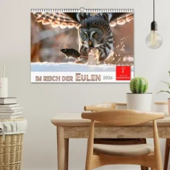 Im Reich der Eulen (Wandkalender 2026 DIN A3 quer), Monatskalender*Calvendo Discount