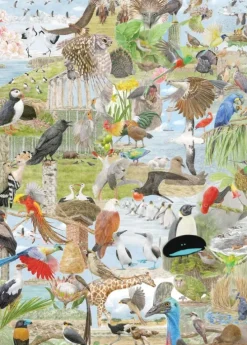 Laurence King Verlag GmbH Puzzles & Puzzlezubehör*In 50 Vögeln um die Welt