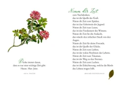 In der Ruhe liegt das Glück*Coppenrath Outlet