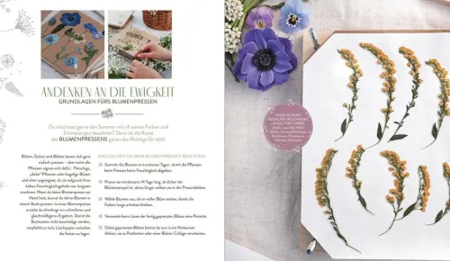 In meinem Garten blüht das Glück*Groh Verlag