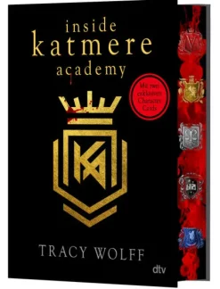 dtv Verlagsgesellschaft Young Adult-Inside Katmere Academy