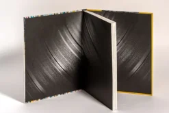 Into the Groove. Vinyl-Kult: Die Geschichte der Schallplatte*Prestel Verlag