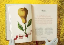 Taschen GmbH Künstler:Innen Im Fokus-J. C. Volkamer. The Book of Citrus Fruits