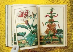 Taschen GmbH Künstler:Innen Im Fokus-J. C. Volkamer. The Book of Citrus Fruits