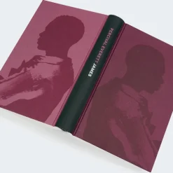 Carl Hanser Verlag Lgbtqia+*James