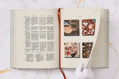 Jan Christiaan Sepp. The Book of Marble*Taschen Verlag Outlet