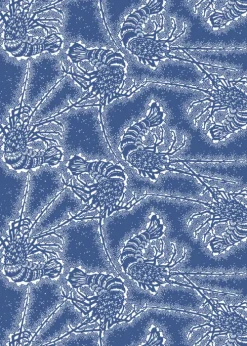 Japanese Patterns*Pepin Press B.V. Best