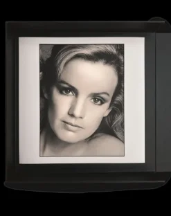 Prestel Verlag Mode & Design*Jil Sander by Jil Sander [Collector's Edition]