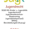 dtv Verlagsgesellschaft Jura*Jugendrecht. JugR