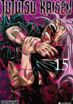 Crunchyroll Manga Mystery|Fantasy-Jujutsu Kaisen - Band 15