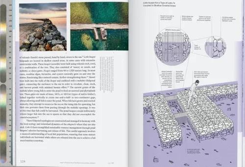 Taschen GmbH Architektur & Wohnen-Julia Watson. Lo-TEK. Water. A Field Guide for TEKnology