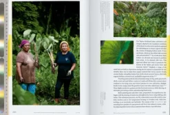 Taschen GmbH Architektur & Wohnen-Julia Watson. Lo-TEK. Water. A Field Guide for TEKnology