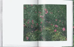 Taschen GmbH Künstler:Innen Im Fokus-Julian Schnabel