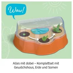 Kakteen-Wüste*Franckh-Kosmos Discount