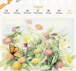 Coppenrath, Münster Postkartenkalender*Kalender mit 53 Postkarten