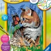 Ravensburger Spieleverlag Basteln & Kreatives-Katze mit Schmetterling. Malen nach Zahlen Serie D