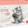 Heye Kalender Abreiß-Kalender-Katzen my love Tagesabreißkalender 2026