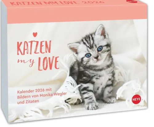 Heye Kalender Abreiß-Kalender-Katzen my love Tagesabreißkalender 2026