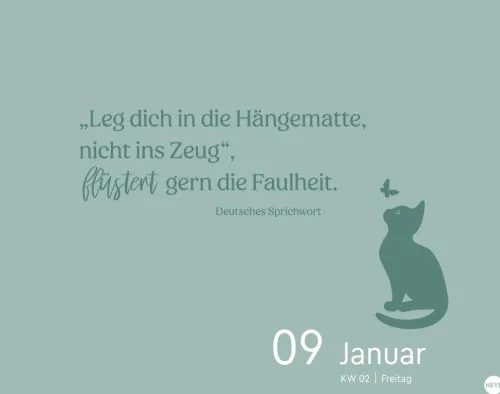 Heye Kalender Abreiß-Kalender-Katzen my love Tagesabreißkalender 2026