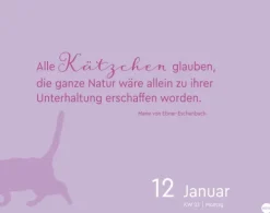Heye Kalender Abreiß-Kalender-Katzen my love Tagesabreißkalender 2026