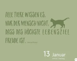 Heye Kalender Abreiß-Kalender-Katzen my love Tagesabreißkalender 2026