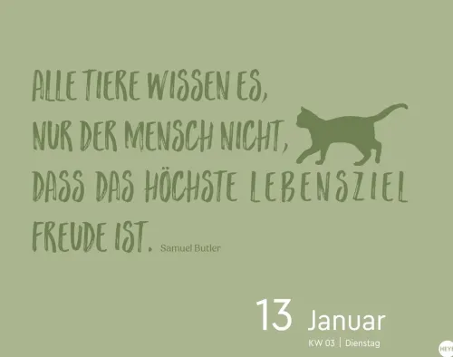 Heye Kalender Abreiß-Kalender-Katzen my love Tagesabreißkalender 2026