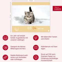 Heye Kalender Abreiß-Kalender-Katzen my love Tagesabreißkalender 2026