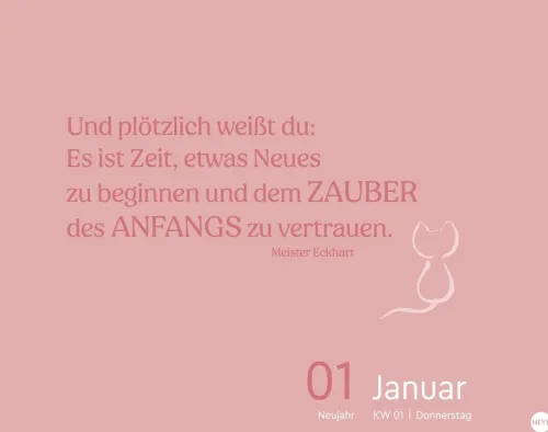 Heye Kalender Abreiß-Kalender-Katzen my love Tagesabreißkalender 2026