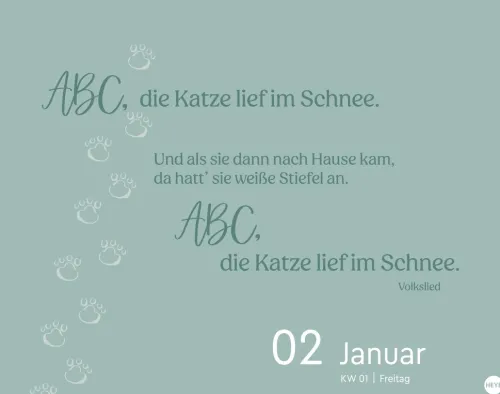 Heye Kalender Abreiß-Kalender-Katzen my love Tagesabreißkalender 2026