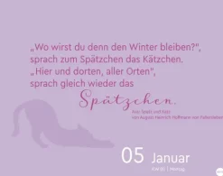 Heye Kalender Abreiß-Kalender-Katzen my love Tagesabreißkalender 2026