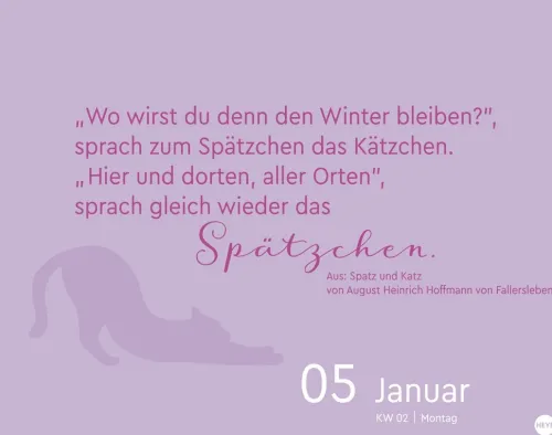 Heye Kalender Abreiß-Kalender-Katzen my love Tagesabreißkalender 2026