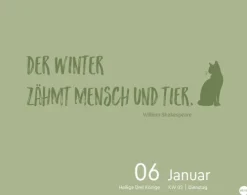 Heye Kalender Abreiß-Kalender-Katzen my love Tagesabreißkalender 2026