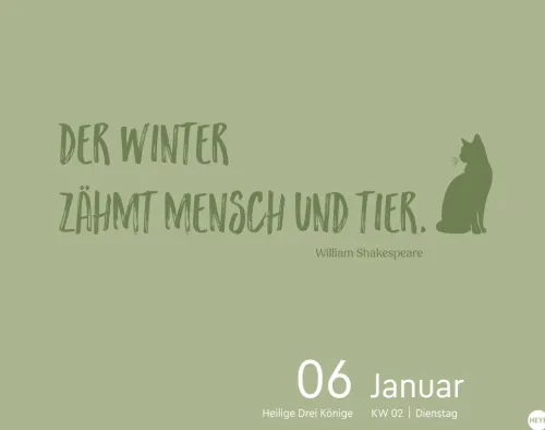 Heye Kalender Abreiß-Kalender-Katzen my love Tagesabreißkalender 2026
